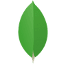 mongodb